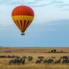 Maasai Mara Balloon Safari Expedition