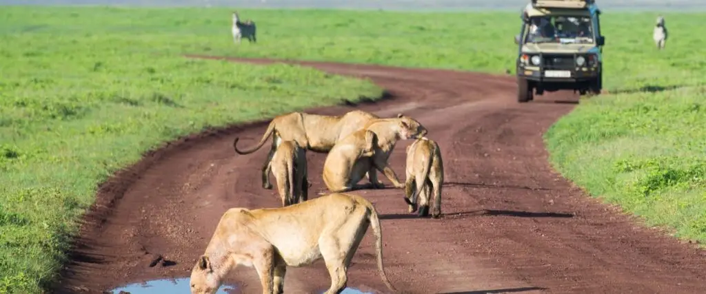 Serengeti Park Tanzania