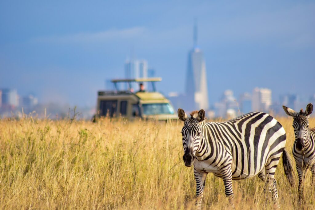 Nairobi National Game Reserve