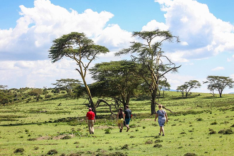 Walking Safari