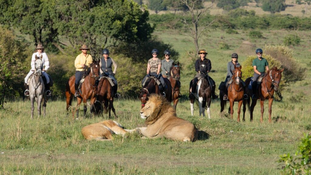 Tourists On Horses Watching Resting Lions In Masai Mara