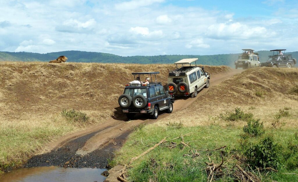 Ngorongoro Game Drive