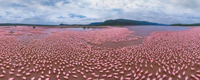 Lake bogoria