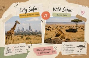 Nairobi National Park or Maasai Mara